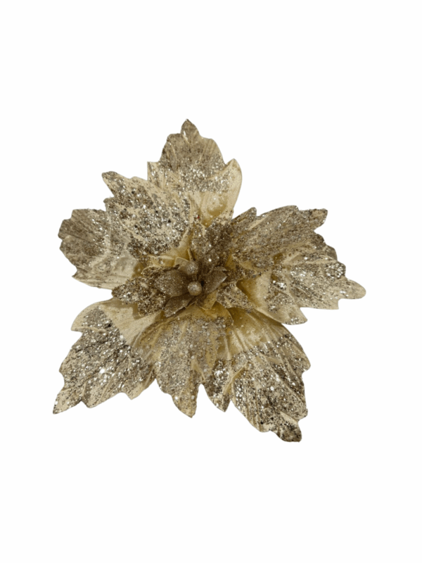 Poinsettia Escarchada Champaña 40*40cm