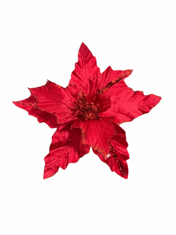 Poinsettia Hoja Escarcha Flor Rojo 20*24