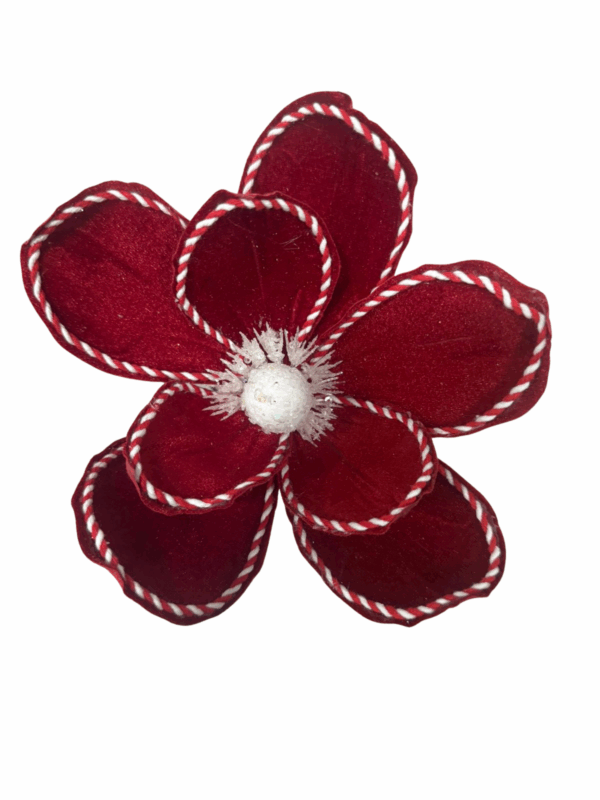 Poinsettia Borde Candy Rojo 30cm
