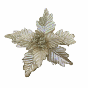 Poinsettia Petalos En Puntas Champaña  28*20cm