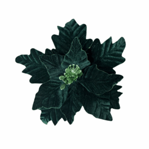 Poinsettia Gamuza Mate Semillas Verde 25*32