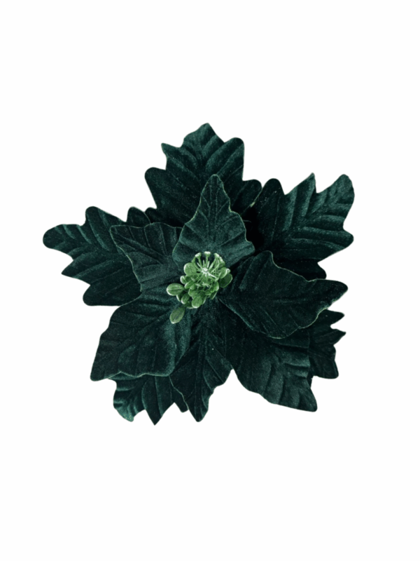 Poinsettia Gamuza Mate Semillas Verde 25*32