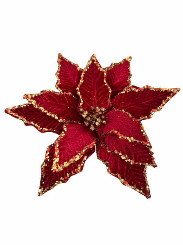 Poinsettia Gamuzada Borde Esc 30*45cm