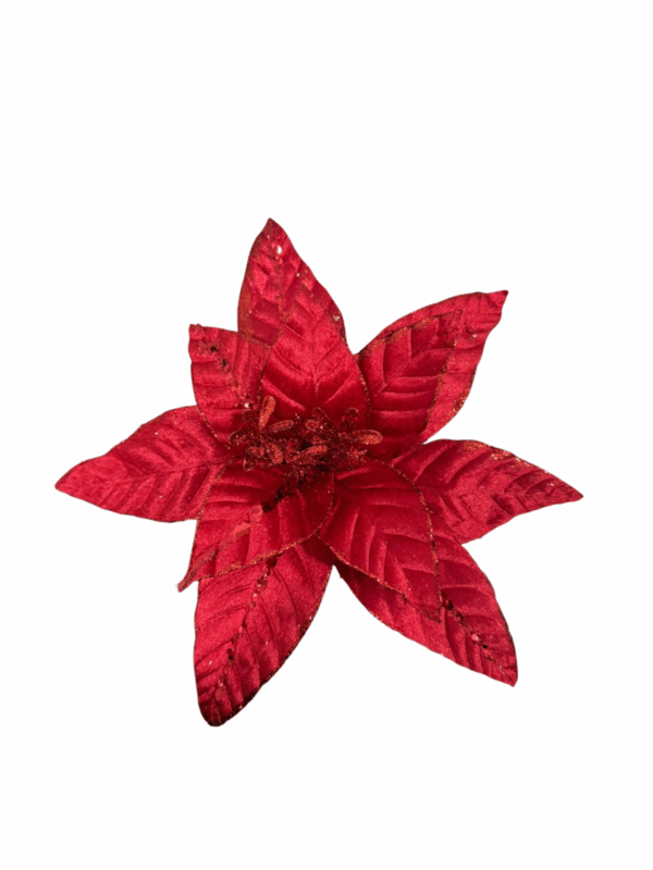 Poinsettia Rojo Linea Escarcha Hoja 38*36