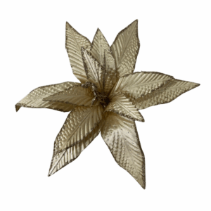 Poinsettia Champaña Petalos En Punta Borde Esc 44*40cm