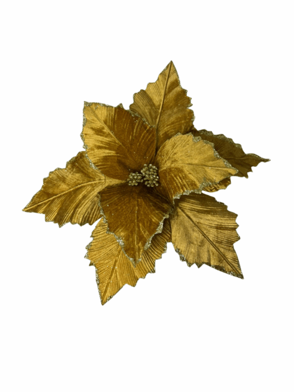 Poinsettia  Champaña Gamuzada Borde Esc 45*40cm
