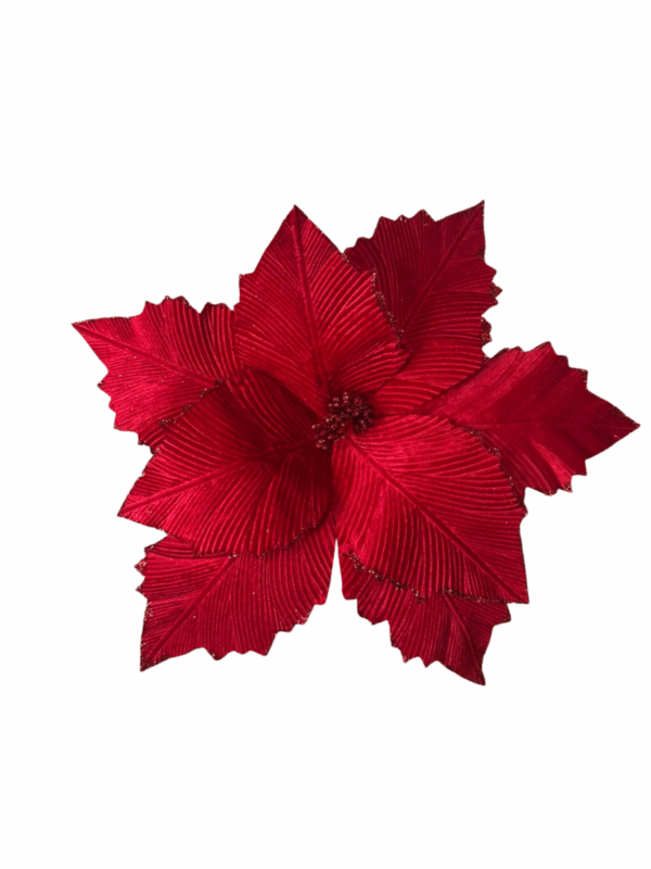 Poinsettia  Roja Gamuzada Borde Esc 45*40cm