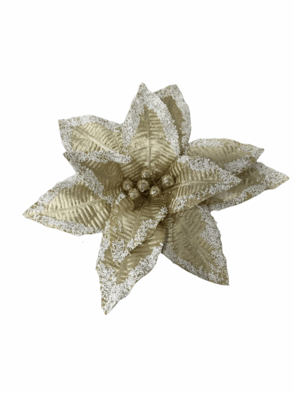 Poinsettia Champaña Metalizada Borde Nevado 30*25cm