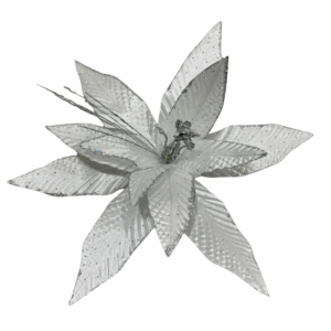 Poinsettia  Blanco Petalos En Punta Borde Esc 44*40cm