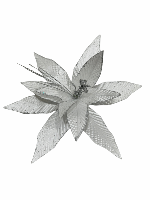 Poinsettia  Blanco Petalos En Punta Borde Esc 44*40cm