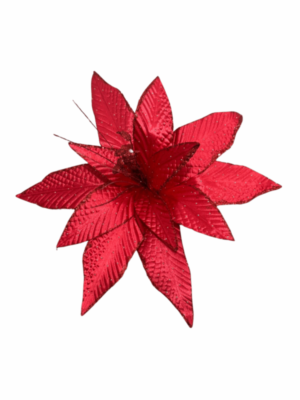 Poinsettia  Rojo Petalos En Punta Borde Esc 44*40cm