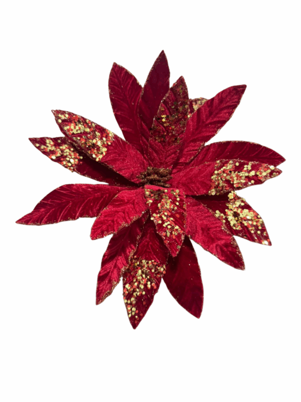 Rflor De Loto Rojo  Borde Esc 33*45cm