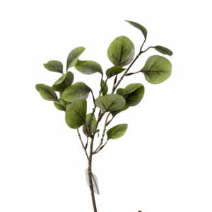 Follaje Eucalipto Verde62cm