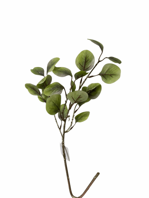 Follaje Eucalipto Verde62cm