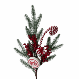 Follaje Espiga Plas Berry`S Regalo 70*0