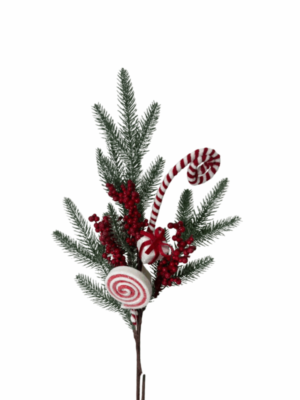 Follaje Espiga Plas Berry`S Regalo 70*0