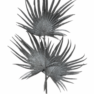 Espiga X3 Hojas Palma Plateado 78cm
