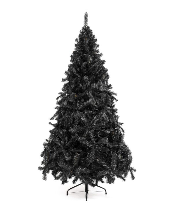 Pino Principe Negro  225cms - Bm