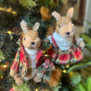 Ardillas Escocesas 22cm